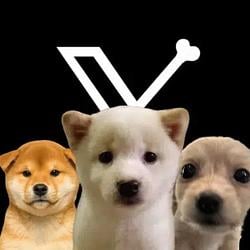 𝕏DOGS