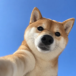 NI