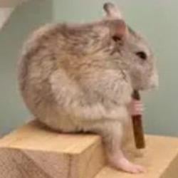 PAKOMI