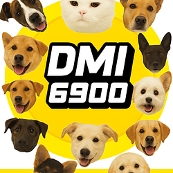 DMI6900 / SOL