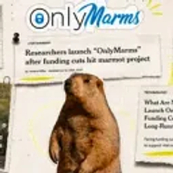 OnlyMarms