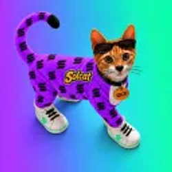 solacat / SOL