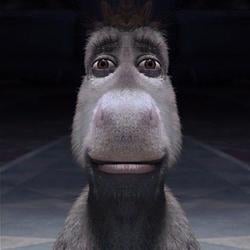 Donkey