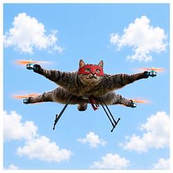 CatCopter
