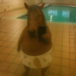 HORSE / SOL