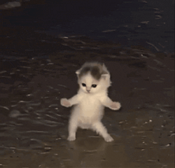 RANCAT