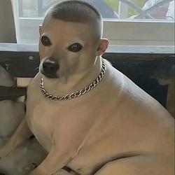 JUAN