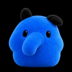 Mopru