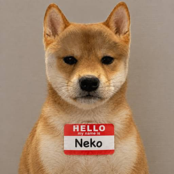 NEKO