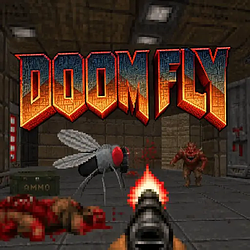 DOOM FLY