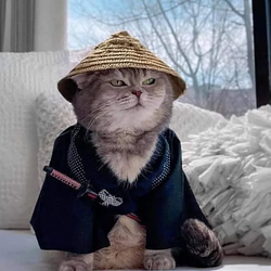 SAMURAI / SOL