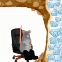 Rat