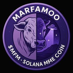 MFM