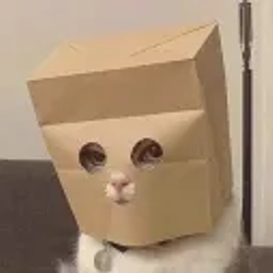 ZCAT