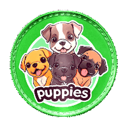 puppies / SOL