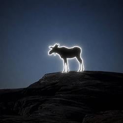 Moose / SOL