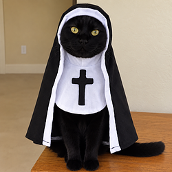Catolic
