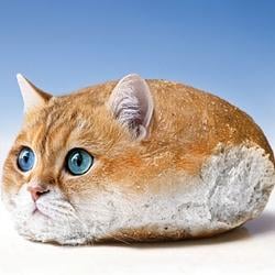 CATLOAF