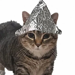 PSYOPCAT / SOL