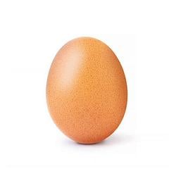 EGG / SOL