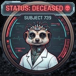 suricats