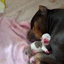 MOMMY