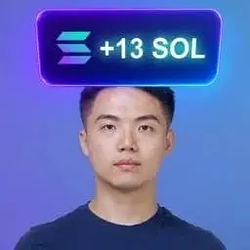 PNL / SOL