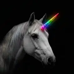 Unicorn / SOL
