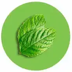 MINTCOIN