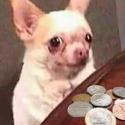 COINS