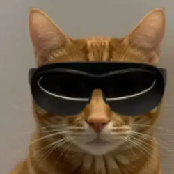 catwifnova