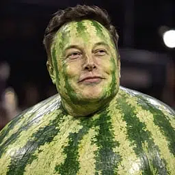 MELON MUSK