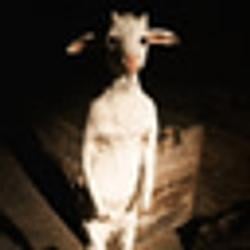 poorgoat / SOL