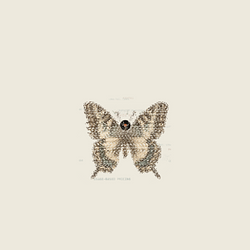 Motion