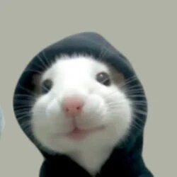 HAMSTER / WETH 0.25%