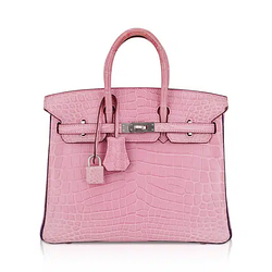 BIRKIN / SOL