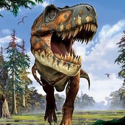 Rex