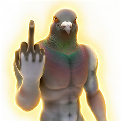 PIGEONS