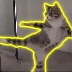 KCAT