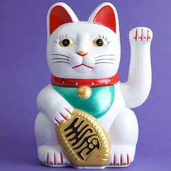 moneycat