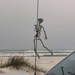 SKELETON