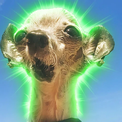 ROGPIR / SOL
