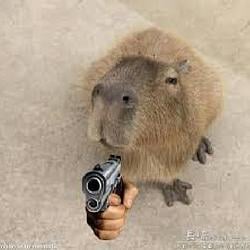 CAPYBARA
