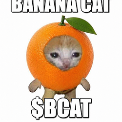 $OCAT / SOL