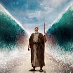 Moses / SOL