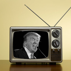 TELETRUMP / SOL