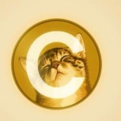 it was dogecoin / BNB