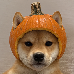 PUPKIN
