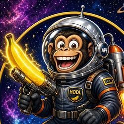 🐵 / SOL
