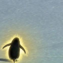 PENGUOW